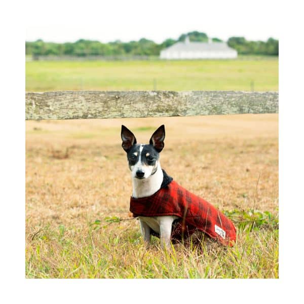 Billy Wolf Elliot Dog Coat - TWO EXTRA SMALL LEFT