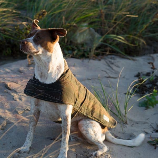 Billy Wolf Sterling Water-Repellent Dog Coat - LIMITED QUANTITIES