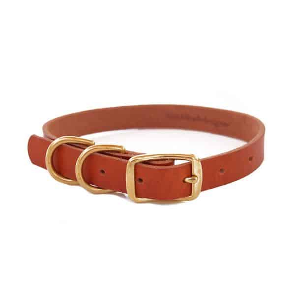 Bold Lead Designs Bridle Leather Dog Collar - Double D Rings