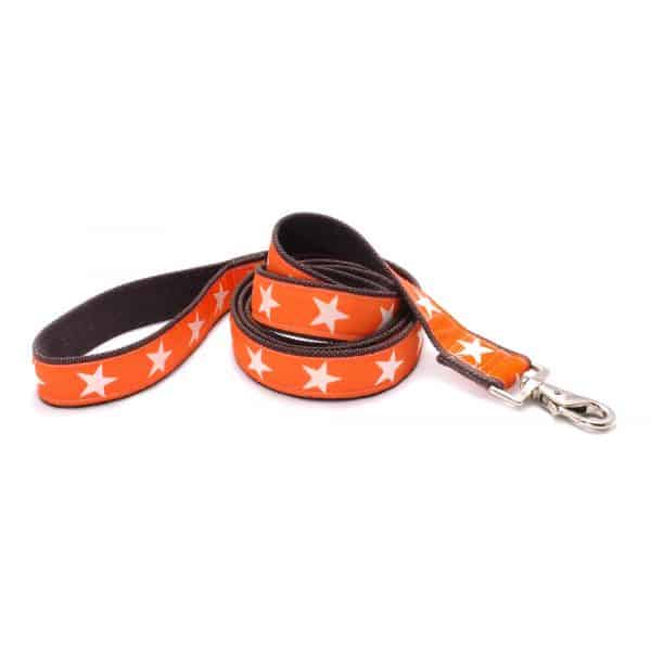 Matching Leash Available