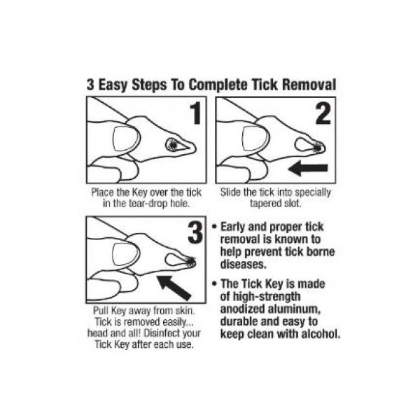 How to Safely Remove a Tick with Tick Key