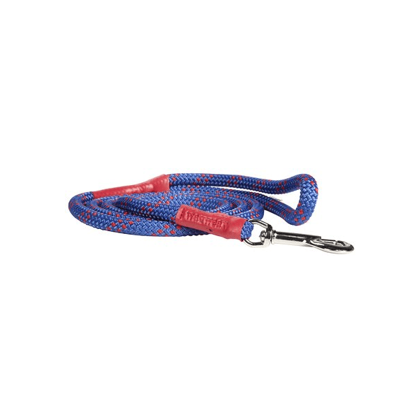 All-In-One Collar & Leash - Blue
