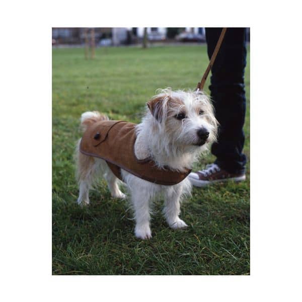Hartwist Tweed Dog Coat - Only one Size 22 LEFT!
