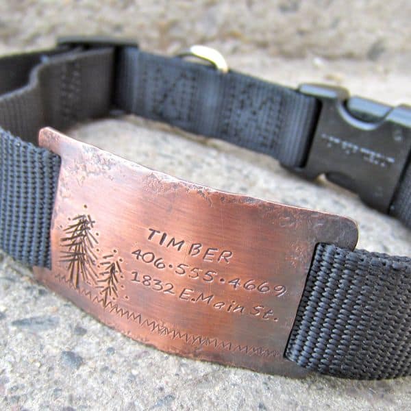 Timber quiet collar tag pictured on 1