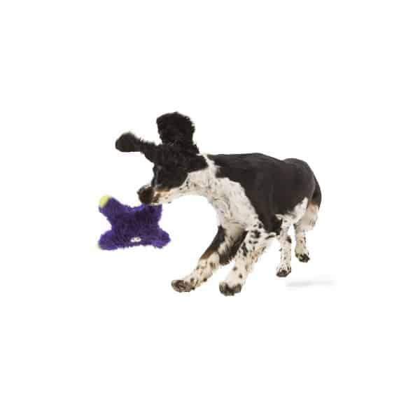 Rowdies Lincoln Durable Plush Dog Toy - West Paw