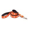 Matching Leash Available